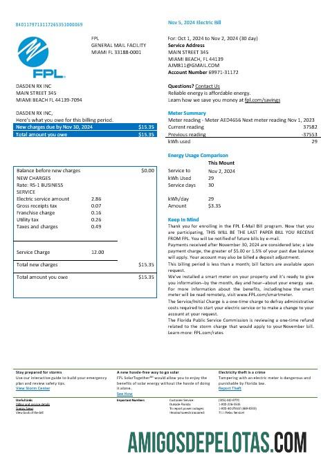 Formatos Word e PDF da conta de serviços públicos de eletricidade FPL dos EUA, Flórida, versão 2 exemplo